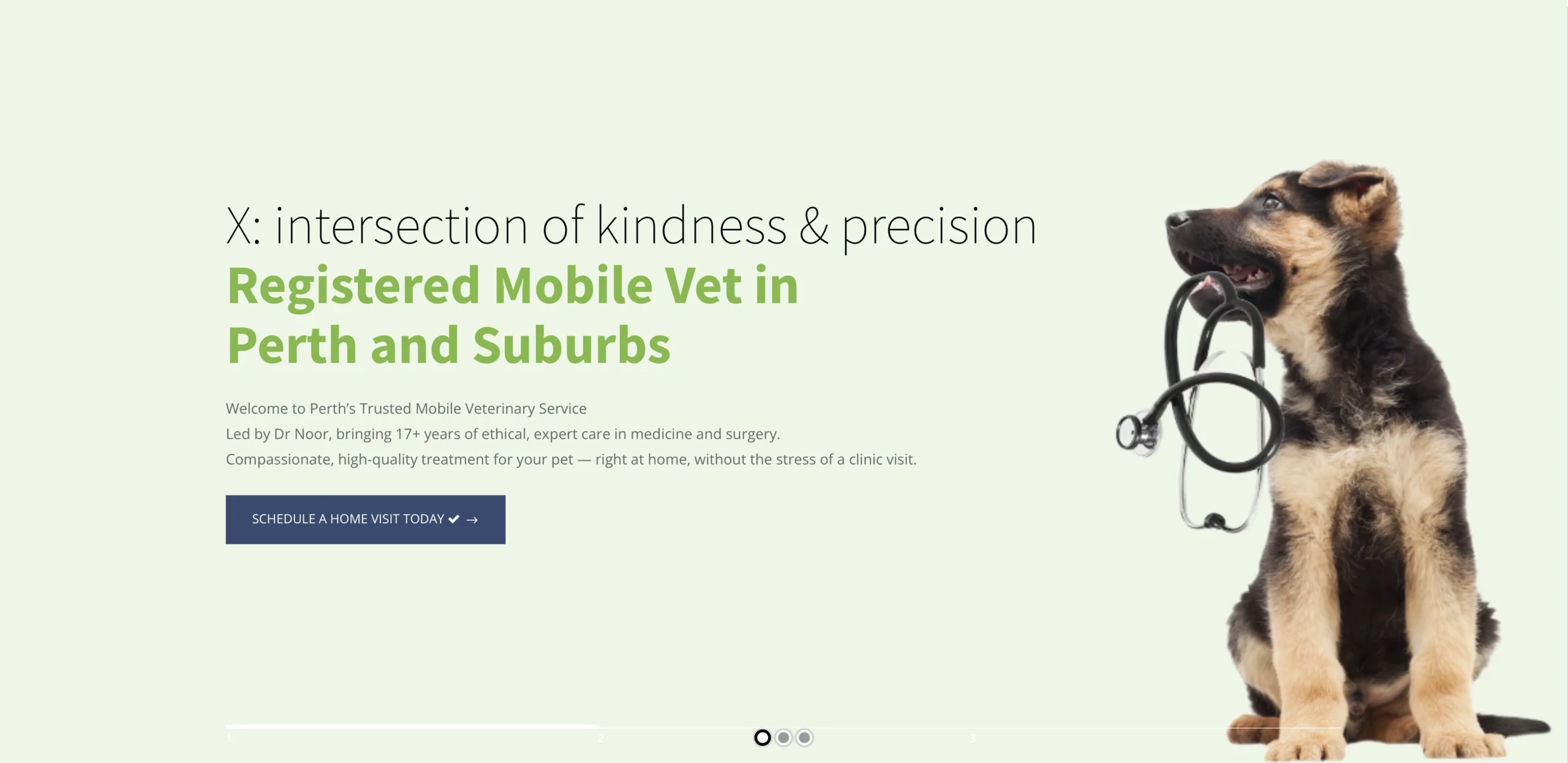 mobile vet perth - XCura Mobile Vet vet that comes to you- mobile vet in Perth - Home visit vet - vet near me